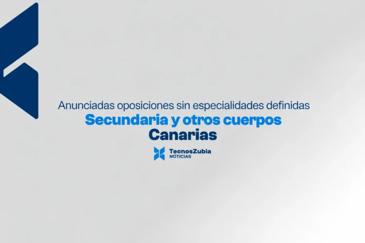 Canarias prevé oposiciones de Secundaria y otros cuerpos este curso, según ANPE