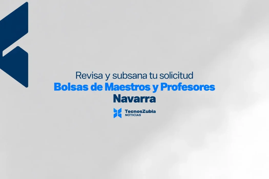 Revisa y subsana tu solicitud · Bolsas de Maestros y Profesores · Navarra